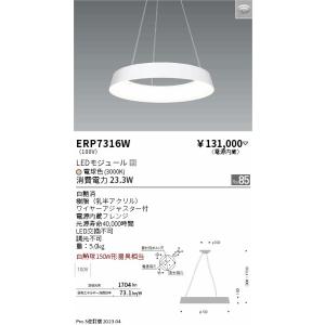 ENDO ワイヤー吊ペンダント[LED電球色]ERP7316W｜terukuni