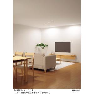 在庫品 LGD3100NLB1 パナソニック ...の詳細画像2