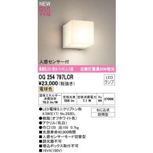 OG254797LCR オーデリック R15クラ...の商品画像