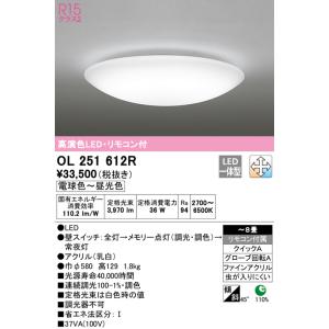 ODELIC（オーデリック） 在庫品 OL251816R R15クラス2 高演色LED