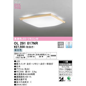 ODELIC（オーデリック） 安心のメーカー保証 OL291679R1B（光源