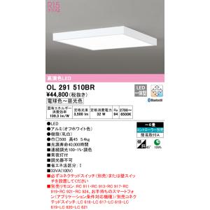 ODELIC（オーデリック） OL291507BR FLAT PLATE フラットプレート R15