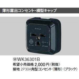 Panasonic（パナソニック） NE35519 床用配線器具・電材 インナー
