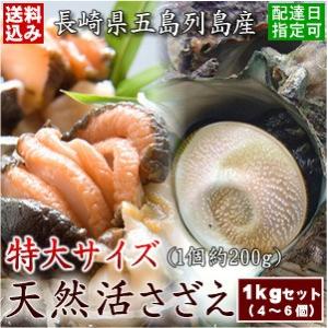 国産 天然活さざえ サザエ 特大サイズお刺身用1kgセット 4 6個入 国産 天然活さざえ サザエ 特大サイズお刺身用1kgセット 4 6個入