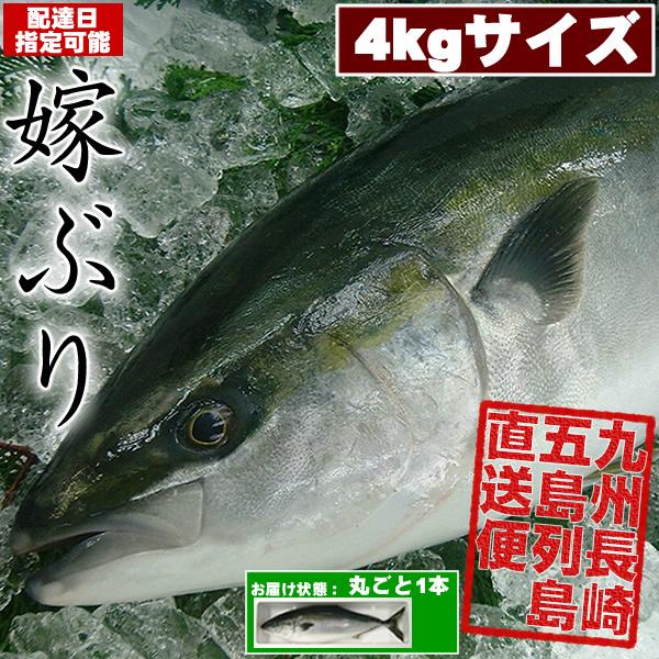 嫁ぶり（嫁鰤）丸ごと1本（4ｋｇサイズ）