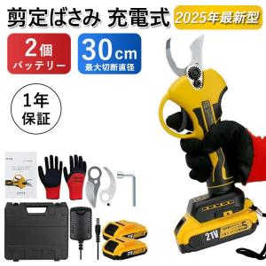 剪定ばさみ 電動剪定ばさみ 充電式 剪定ばさみ 電動 バッテリー 2個付き 切断直径30mm 電動ハサミ 4段階開き角度調整 枝切りバサミ　