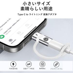 2個セット Type C to ライトニング ...の詳細画像1