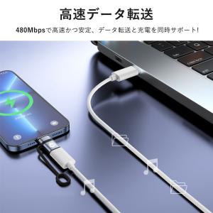 2個セット Type C to ライトニング ...の詳細画像4