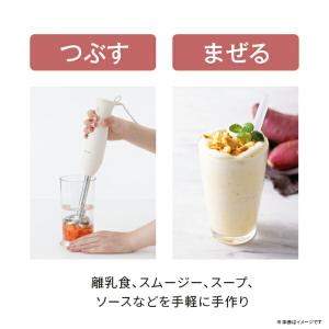 ハンドブレンダー テスコム ブレンダー ハンデ...の詳細画像4