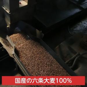 つぶまるの水出し版 水出し麦茶 つぶこ 麦茶 ...の詳細画像3