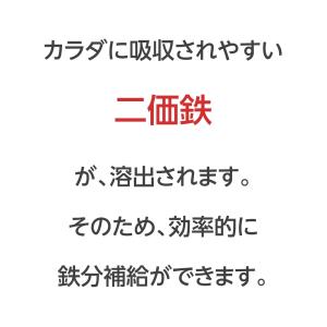 南部鉄器 鉄瓶 1.2L 直火 IH対応 アラ...の詳細画像4
