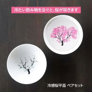 お値下げしました、2個組　萬古焼　桜　徳利 うぐいす徳利&盃2個セット 美濃焼 丸モ高木陶器 日本製 爆買 : 手