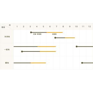 てしまの苗 エンドウ苗 紫えんどう 4株入りパ...の詳細画像4