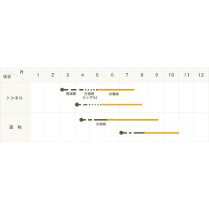 てしまの苗 キュウリ シャキット 断根接木苗 ...の詳細画像2