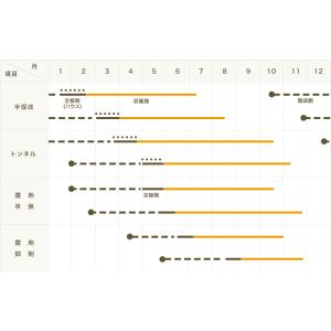 てしまの苗 ナス苗 とげなし千両2号 断根接木...の詳細画像2