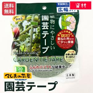 玉ねぎ 苗 【12月12日(金)が今期最終発送】『たまねぎ苗 予約 販売 50
