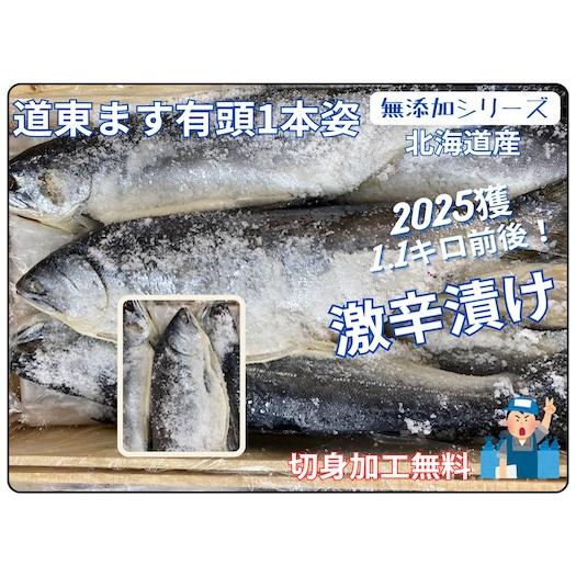 塩ます(北海道産)激辛口1,2キロ前後 塩鱒 塩マス 昔ながら 激辛ます 切身加工無料 1本姿 無添...