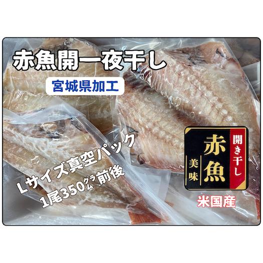 赤魚開き干し真空パックLサイズ（米国産）宮城県加工　１尾バラ売り