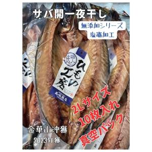 金華山沖獲開さば一夜干2L（宮城県産）塩竃加工10枚入