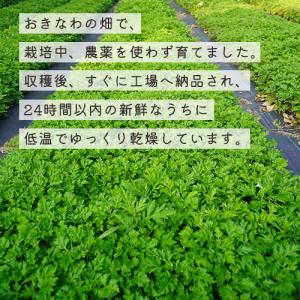 送料無料 沖縄県産 低温乾燥 粉砕 よもぎ 3...の詳細画像2