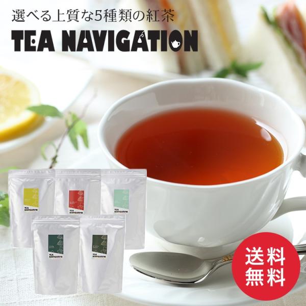 TEA NAVIGATION 紅茶 ギフト ティーバッグ プレミアムライン スタンドパック 50包入...