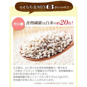 贅沢穀類 もち麦 MIX63 (500g×10...の詳細画像3