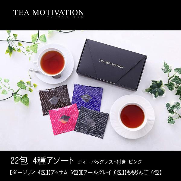 TEA MOTIVATION 紅茶 ティーバッグ 4種アソート22包入 ティーバッグレスト付 (ピン...