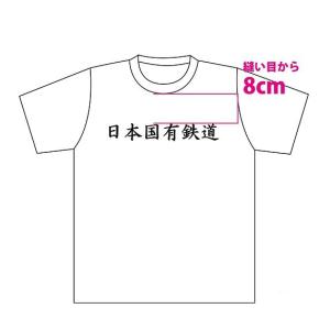Tシャツ　鉄道グッズ　鉄道Tシャツ　日本国有鉄道デザイン　ホワイト/Mサイズ｜tetsupita
