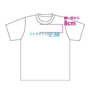 Tシャツ　鉄道グッズ　鉄道Tシャツ　ミッドナイトエクスプレス高松デザイン　ホワイト/Lサイズ｜tetsupita