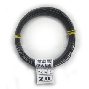 盆栽用 アルミ線 100g 2.0mm 黒