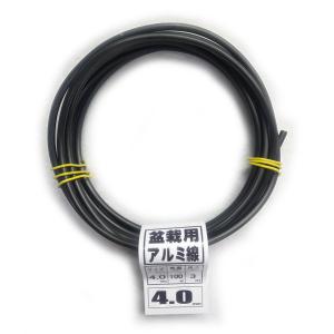 盆栽用 アルミ線 100g 4.0mm 黒