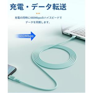 iphone 充電ケーブル Type C to...の詳細画像2