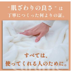 毛布 ブランケット セミダブル 160×200...の詳細画像5