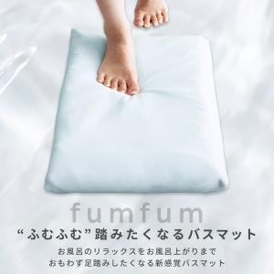 テイジン 珪藻土バスマット ソフト 洗える カ...の詳細画像1