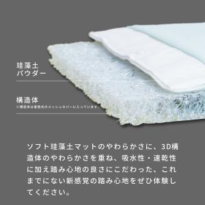 テイジン 珪藻土バスマット ソフト 洗える カ...の詳細画像4