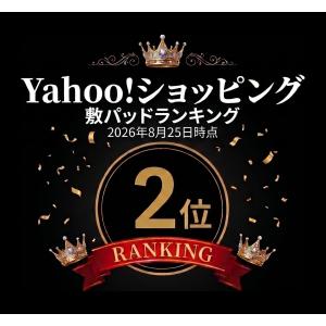 テイジン 敷きパッド シングル ダニスト ベッ...の詳細画像1