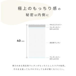 テイジン ラグ 極厚 40mm 洗えるカバー ...の詳細画像4