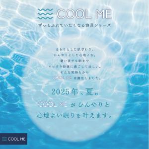 ひんやり 抱き枕 Coolme テイジン 公式...の詳細画像2