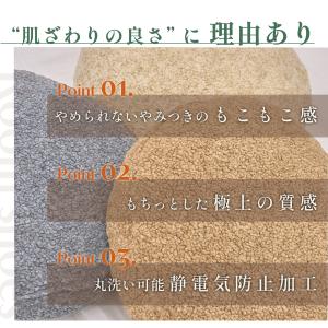 クッション 40×5cm テイジン 公式 クッ...の詳細画像4