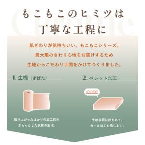 クッション 40×5cm テイジン 公式 クッ...の詳細画像5