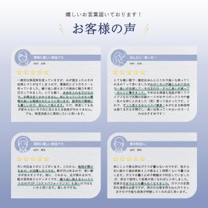除湿剤 12個 直営店限定 ソフトパックドライ...の詳細画像2
