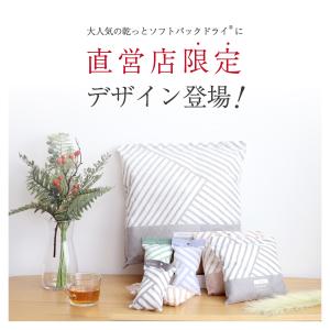 除湿剤 12個 直営店限定 ソフトパックドライ...の詳細画像3