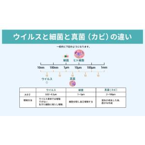 【在庫処分】レースカーテン 抗ウイルス 抗菌 ...の詳細画像2