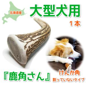 鹿の角 中型 犬 用 鹿角さん 割っていないタイプ2本セット 天然 鹿の角 中型 犬 用 鹿角さん 割っていないタイプ2本セット 天然
