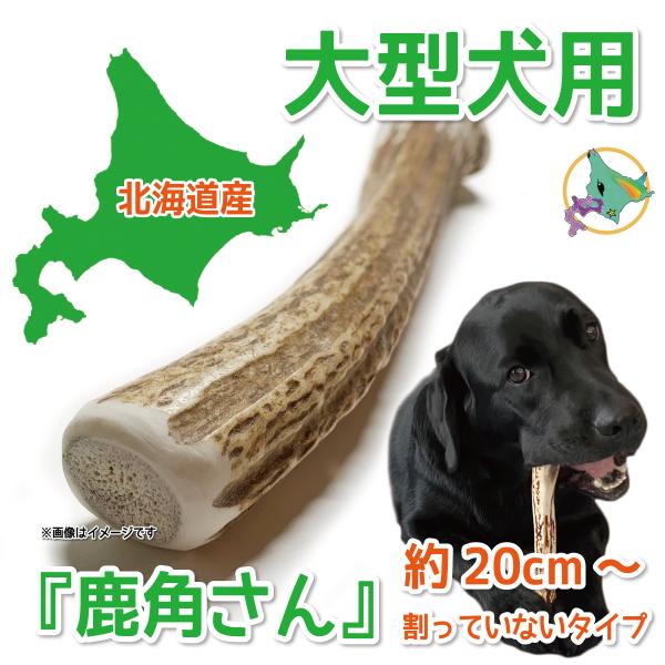鹿の角 大型 犬 用  鹿角さん 割っていないタイプ１本 天然 無添加 北海道産  蝦夷鹿の角 犬の...