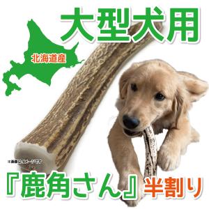 大型犬用 蝦夷鹿の角 『鹿角さん』 半割り 約20cm 1本 天然 無添加 北海道産 鹿の角 犬のお...