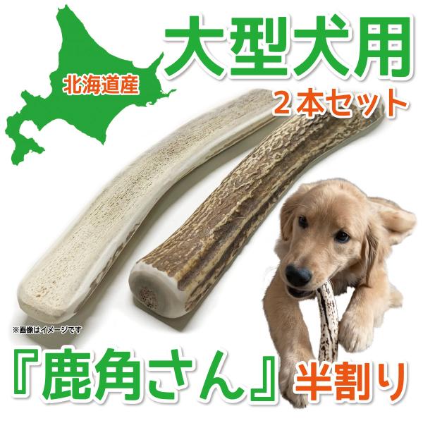 鹿の角 大型 犬 用   鹿角さん  半割り 約20cm ２本セット 天然 無添加 北海道産  蝦夷...