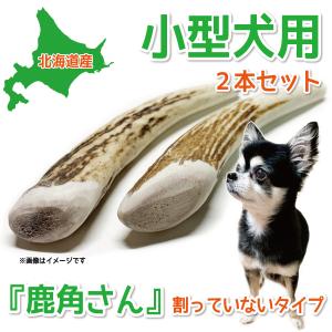 小型犬用 蝦夷鹿の角 『鹿角さん』 先端 2本セット 天然 無添加 北海道産 犬のおもちゃ 鹿の角 犬 かむおもちゃ エゾ鹿 エゾシカ ツノ デンタル 鹿角 噛み癖｜tezukuriyasan