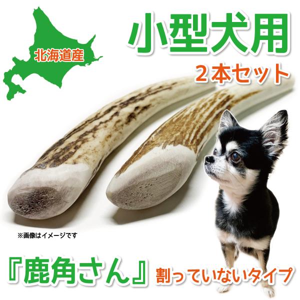 鹿の角 小型 犬 用  鹿角さん 割っていないタイプ先端２本 天然 無添加 北海道産  蝦夷鹿の角 ...
