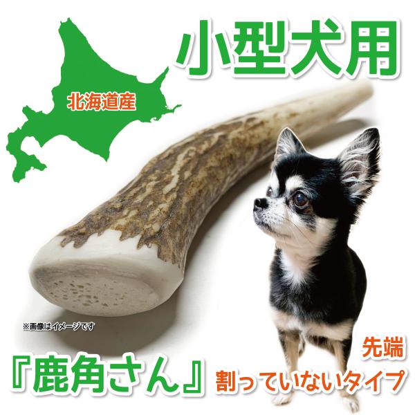 鹿の角 小型 犬 用  鹿角さん 割っていないタイプ先端１本 天然 無添加 北海道産  蝦夷鹿の角 ...
